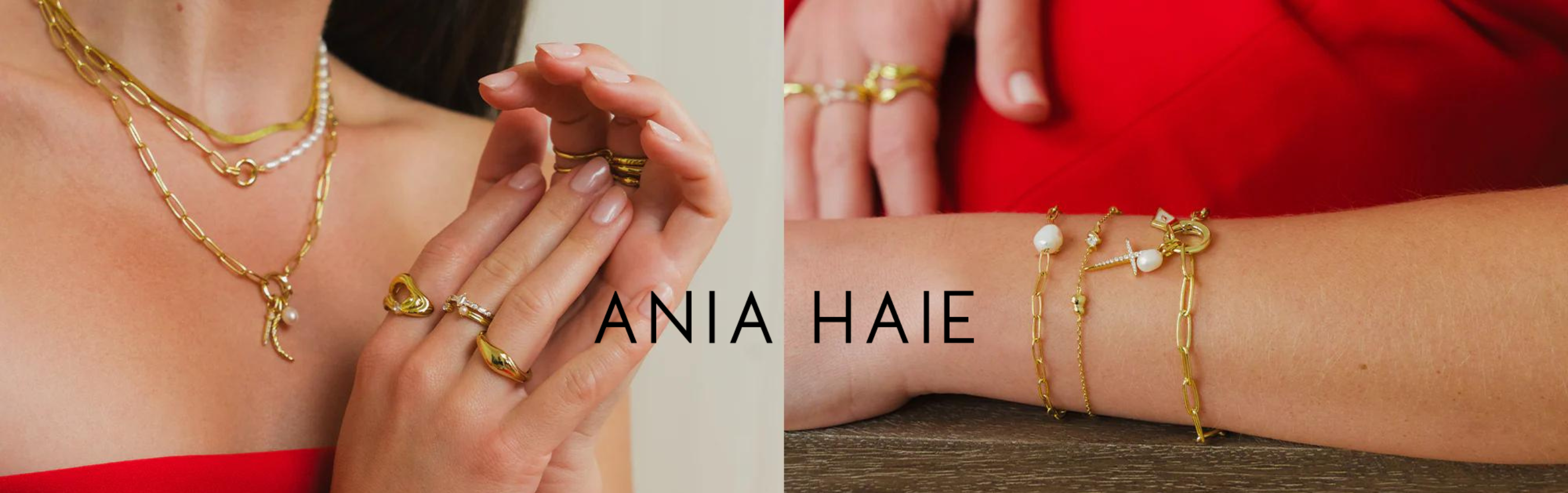 ANIA HAIE BANNER
